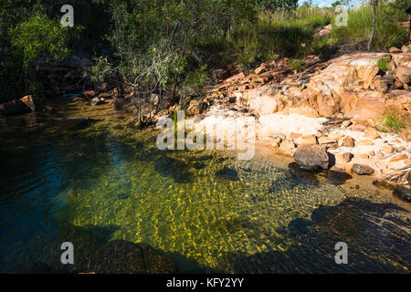 Acque cristalline a Nitmiluk (Katherine Gorge), il Parco Nazionale del Territorio del Nord, l'Australia Foto Stock