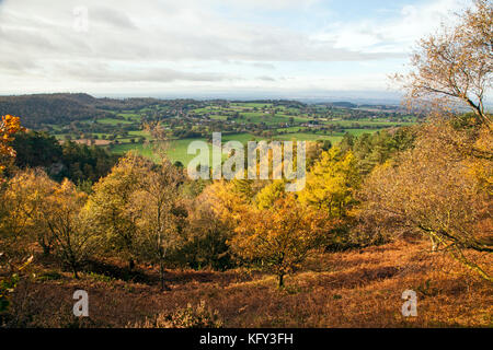 Autunno vista lungo le colline Bickerton tratto di sentiero in pietra arenaria che corre tra Whitchurch nello Shropshire e in Frodsham Cheshire Foto Stock