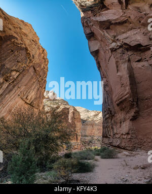 Capitol Gorge Trail a Capitol Reef Utah, USA Foto Stock