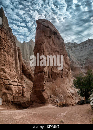 Chimney rock in Kodachrome parco statale, Utah US Foto Stock