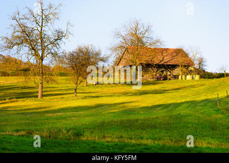 Il vecchio fienile in legno nel tramonto, alberi di fronte Foto Stock