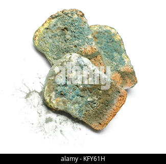 Fette di pane ricoperte con lo stampo su sfondo bianco.. con percorso di clipping Foto Stock