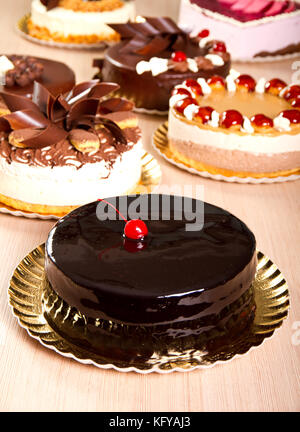 Elegante torta al cioccolato con un secco decorazione di ciliegio Foto Stock