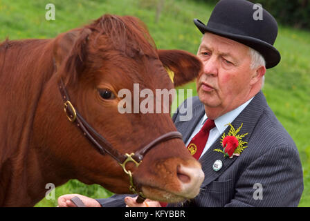 George Godber (bovini mostrano giudice) nel suo giudicare i vestiti, a casa , in Holberrow verde, nr.Redditch, con una delle sue mucche Dexter Foto Stock