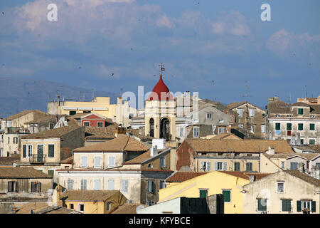 Swallow volando sopra la città di Corfù Foto Stock