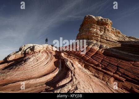 Il retro del drago. formazione di roccia in tasca bianco, Arizona, Stati Uniti. sunrise in scena la mattina. Foto Stock