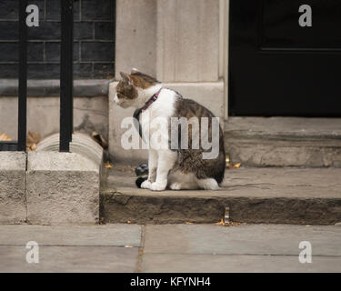 Larry il gatto di Downing Street siede sul gradino anteriore fuori dal n. 10, Londra, Regno Unito, 31 ottobre 2017. Foto Stock