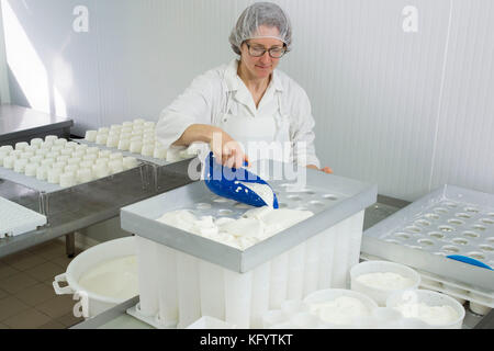 Il formaggio di capra rendendo presso la fattoria 'La Ferme du Petit Quenneval' in Wirwignes (Francia settentrionale). Workshop, formaggio caprino: stadio di stampaggio e formatura di un Foto Stock