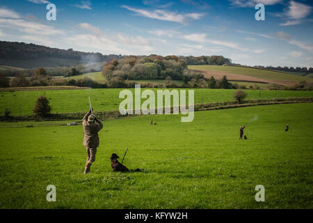 Gentleman la ripresa di un fagiano su pilotato shoot, Hampshire, Inghilterra. Foto Stock