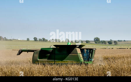 Mietitrebbia john deere che attraversa un campo di grano al tempo del raccolto in Texas Foto Stock