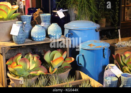 Giardino interno fai da te con piante verdi, fiori, cactus e succulenti in  vasi di fiori bianchi su tavolo e scaffale di legno. Suolo e drenaggio per  Foto stock - Alamy