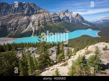 Il lago peyto in Alberta Canada Foto Stock