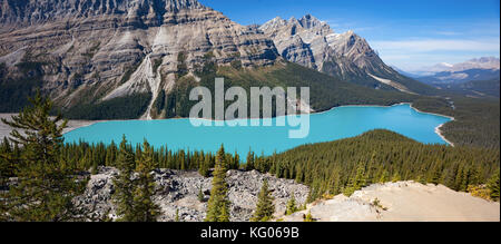 Il lago peyto in Alberta Canada Foto Stock