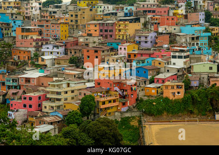 AMERICA DEL SUD ECUADOR GuayaQUILL Provincia di Guayas la Perla del Pacifico Foto Stock