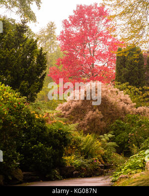 I colori autunnali nella vasca da bagno Botanic Gardens ritratto. alberi e cespugli che mostra autunnale di rossi, gialli e verdi come ottobre avanza in Inghilterra Foto Stock