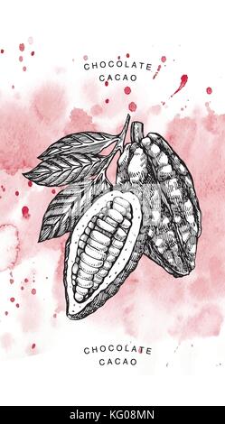 Il cioccolato le fave di cacao illustrazione vettoriale. stile inciso illustrazione. abbozzato disegnati a mano chicchi di cacao, albero, foglie e rami. Illustrazione Vettoriale