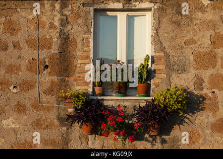 I tramonti su una finestra coperta in vasi di fiori nella città umbra di Orvieto, Italia. Foto Stock