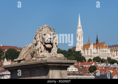 Ungheria, Budapest, Il leone scultura da 1852 sul Ponte delle Catene e la chiesa di Mattia in background Foto Stock