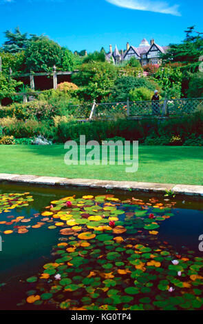 Lily terrazza,Bodnant Gardens,Conwy,Galles Foto Stock