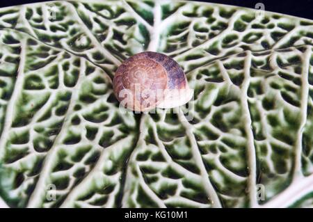 Lumaca su foglie verdi di ceramica nascosto nel suo guscio Foto Stock