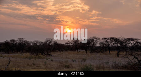 Il sole che tramonta oltre la savana della Namibia Foto Stock
