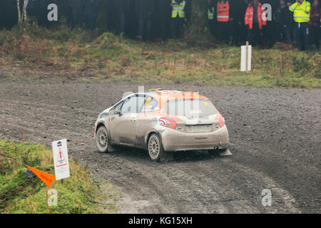 28/10/17 dyfi, Snowdonia, Galles. cars race round il 8° tappa o la dayinsure rally galles 2017 in dyfi. Foto Stock