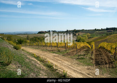 San Gimignano Toscana Italia, uva, vigneto, viaggio Lifestyle, paesaggio, cielo blu Foto Stock