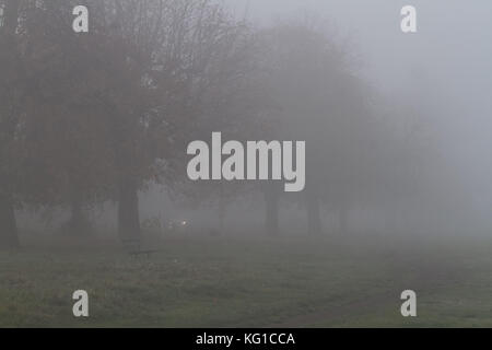 Londra, Regno Unito. 2° nov, 2017. alberi coperti in una fitta nebbia di mattina su Wimbledon Common credit: amer ghazzal/alamy live news Foto Stock