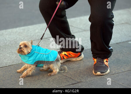 Glasgow, Scozia, Regno Unito 2 novembre. Il tempo del Regno Unito la giornata di sole a Glasgow e la gente del posto si mette in strada. Credito: Traghetto gerard/Alamy Live News Foto Stock