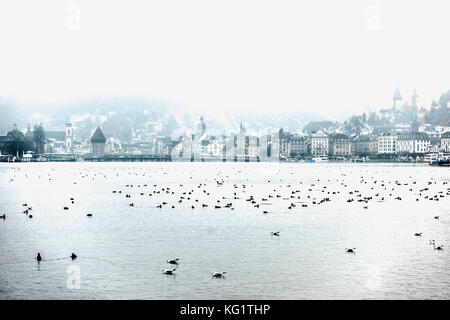 Luzern, Schweiz Foto Stock