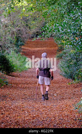 Senior persona di sesso maschile a piedi su marrone Foglie di autunno nel bosco Foto Stock