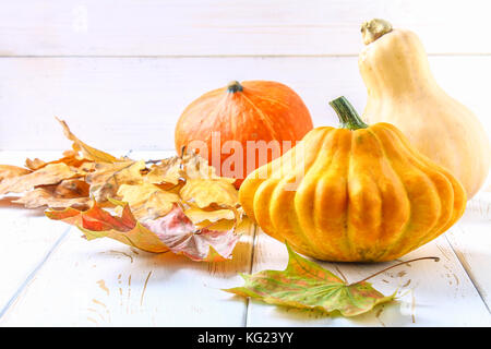 Zucca e Patty pan e acero, rovere foglie gialle su una bianca tavolo in legno. raccolto autunnale. Foto Stock