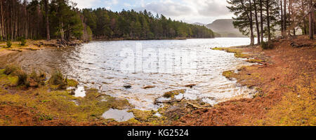 Loch un eilein e la foresta di rothiemurchus, aviemore, Cairngorms National Park, Scotland, Regno Unito, Europa Foto Stock