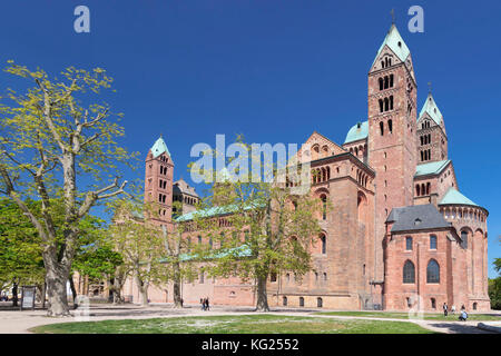 Cattedrale Kaiserdom, Sito Patrimonio Mondiale dell'UNESCO, Speyer, Renania-Palatinato, Germania, Europa Foto Stock
