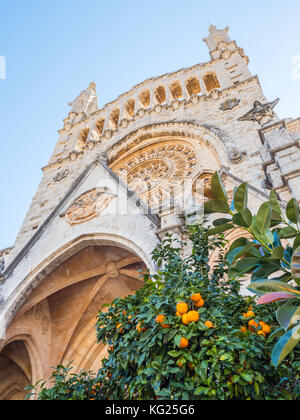 Chiesa e aranci, Soller, Maiorca, Isole Baleari, Spagna, Mediterraneo, Europa Foto Stock