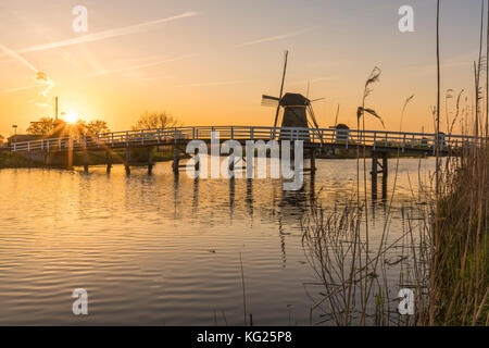 Ponte sul canale con mulini a vento e canne in primo piano al tramonto, Kinderdijk, UNESCO, comune di Molenwaard, Olanda meridionale, paesi Bassi Foto Stock