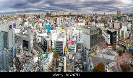 Vista sopraelevata su Shibuya Ward verso lo skyline di Shinjuku, Tokyo, Giappone, Asia Foto Stock