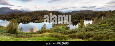 Tarn Hows vicino hawkshead, parco nazionale del distretto dei laghi, sito patrimonio mondiale dell'unesco, cumbria, England, Regno Unito, Europa Foto Stock