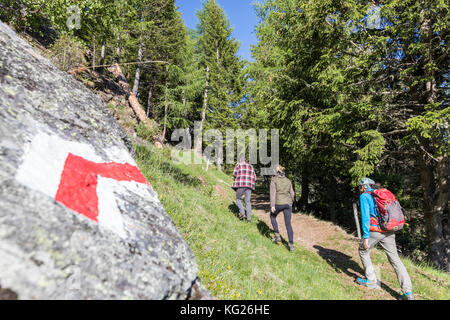 Gli escursionisti sul sentiero chiamato il sentiero del carbonaio, san romerio alp, brusio, valle di Poschiavo del cantone dei Grigioni, Svizzera, Europa Foto Stock