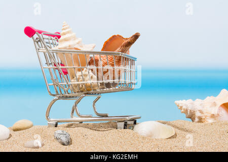 Estate ingaggi, shopping viaggio. carrello sulla spiaggia Foto Stock