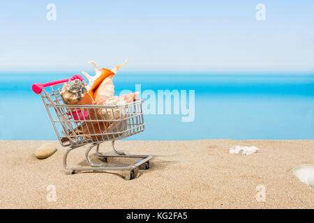 Estate ingaggi, shopping viaggio. carrello sulla spiaggia Foto Stock