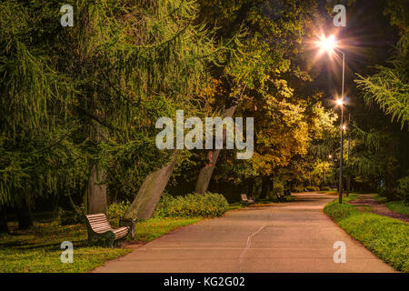 Vista notturna di vicolo in kirov centrale di cultura e leisure park, San Pietroburgo, Russia Foto Stock