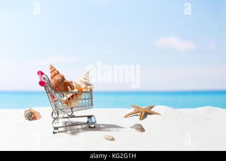 Estate shopping. business e vendita sulla spiaggia. carrello sulla sabbia bianca Foto Stock