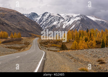 Una pittoresca vista autunnale con una strada asfaltata, montagne coperte di neve e golden larici contro uno sfondo di dark thunderclouds Foto Stock