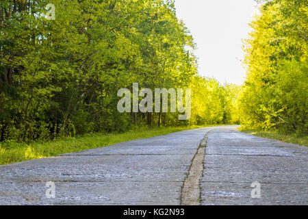 Calcestruzzo strada abbandonata con una striscia di separazione nel Giallo autunno foresta soleggiato Foto Stock