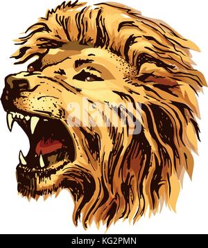 Schizzo vettore colore testa leone Illustrazione Vettoriale