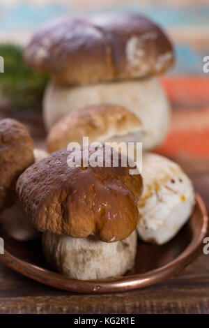 Wild materie commestibili funghi Boletus edulis, gustoso ingrediente per molti piatti vegetariani Foto Stock