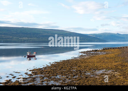La mattina presto su Loch Fyne, Inveraray. Foto Stock
