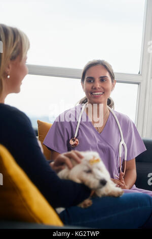 Giovane donna ispanica lavorando come veterinari, vet parlando al proprietario di un cane in casa chiamata. medico degli animali durante la visita del malato animale a casa. Foto Stock