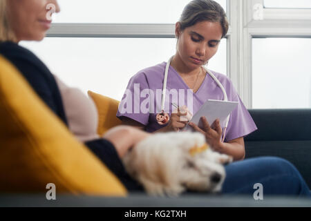 Giovane latina donna lavora come veterinari, vet parlando al proprietario del cane di casa durante la chiamata. medico animale nota di scrittura per malati animale a casa. Foto Stock